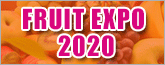 fruit-expo.com
