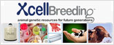 Xcellbreeding.com