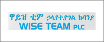 Wise Team Plc