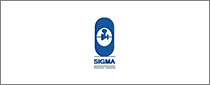 Sigma工程